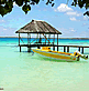 download Tahitian Dream Screensaver