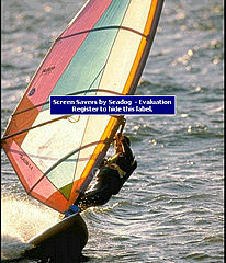 download Windsurfing Screensaver by SD