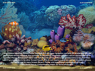 download 3D Living Marine Aquarium Screensaver