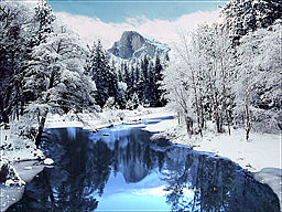 download Yosemite National Park Animated Screensaver