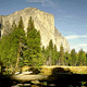 download Yosemite National Park v2.1 Screensaver