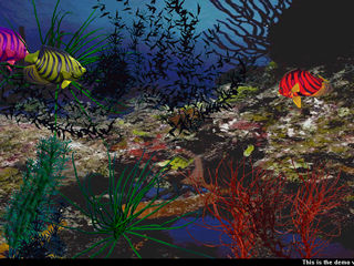 download 3D Angel Fish Screensaver