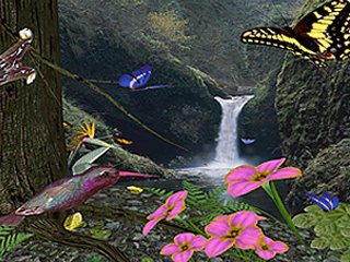 download 3D Butterflies Screensaver