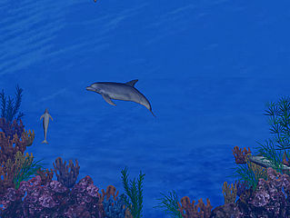 download 3D Dolphin Reef Screensaver