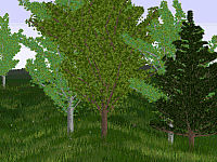 download 3D Enchanted Forest Screensaver