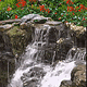 download 3D Garden Waterfalls Screensaver