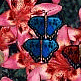 download Butterfly Garden Screensaver