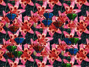 download Butterfly Garden Screensaver