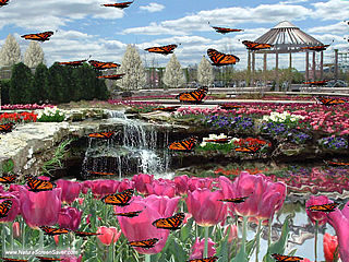 download Butterfly Gardens Screensaver