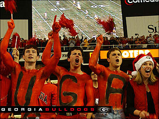 download Georgia Bulldogs Screensaver