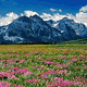 download Glacier National Park v1102 Screensaver