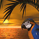 download Glimpse Of The Tropics v1.0 Screensaver