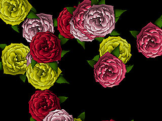 download Roses S Screensaver