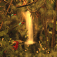 download 3D Rain Forest Adventure Screensaver