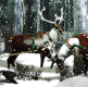 download Christmas (White Christmas) Screensaver by DMBLND