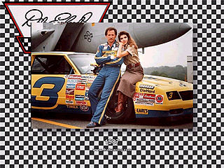 download Dale Earnhardt Screensaver