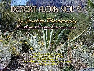 download Desert Flora v2 Screensaver