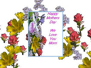 download Mother's Day Flowers v03 Screensaver