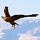 download 3D Majestic Eagles Screensaver