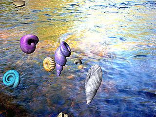 download 3D Sea Shells Screensaver