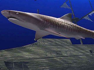 download 3D Shark Visions Screensaver