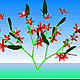 download 3D Vitual Flowers Screensaver
