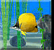 download 3D Water Life v2.4 Screensaver