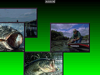 download Bass Fishing v1 Screensaver