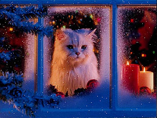 download Christmas (A Christmas Kitty) Screensaver