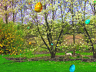 download Easter (3D Floating Easter Eggs) Screensaver