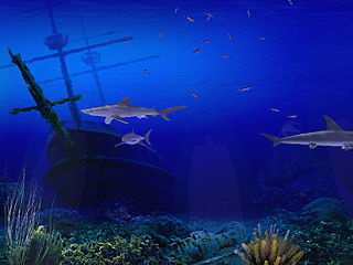 download Living 3D Sharks Screensaver
