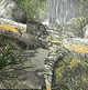 download Amazing Waterfall Screensaver by Elefun