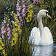 download Swans and Flowers Screensaver