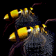 download Swarm Of Bees vS Screensaver