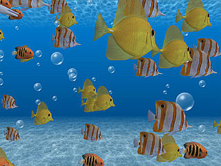 download 3D Fish School v2.31 Screensaver