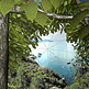 download 3D Forest World v1.2 Screensaver