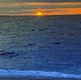 download Beach And Sunsets Screensaver