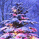 download Christmas (O Christmas Tree by Wanda) Screensaver