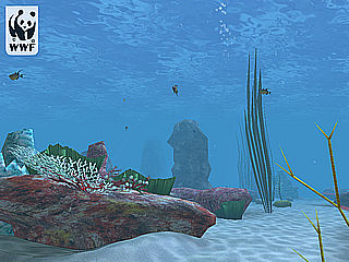 download Coral Reef 3D Screensaver