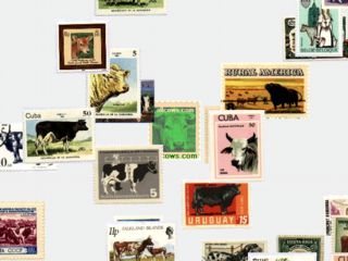 download Cow Stamps Screensaver