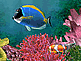 download Aquarium 3D Screensaver