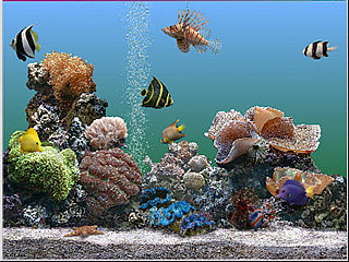 download Marine Aquarium v2.0 Screensaver