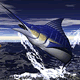 download Marlin Fishing v1.0 Screensaver