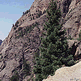 download Alpine Loop Colorado v1.1 Screensaver