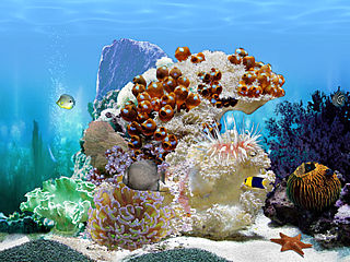 download Amazing 3D Aquarium by Elefun