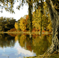 download Autumn In Massachusetts V1 Screensaver