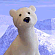 download Polar Bear Paradise Screensaver