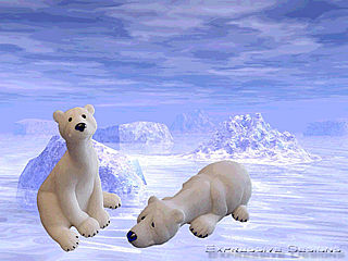 download Polar Bear Paradise Screensaver
