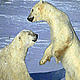 download Polar Bear v2 Screensaver