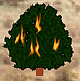 download The Burning Bush v103 Screensaver